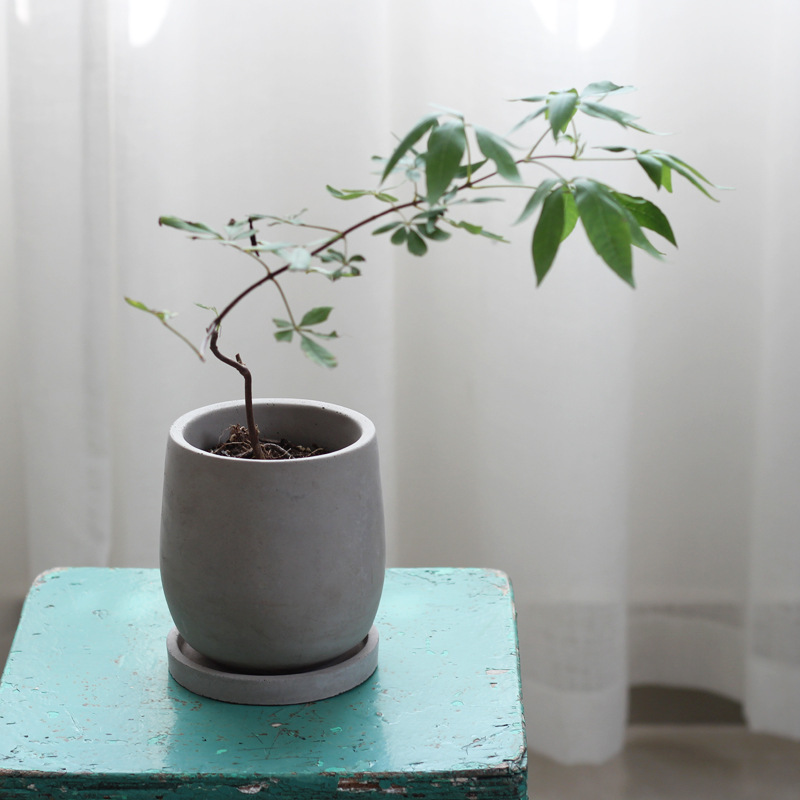 Round cement flower pot - Image 4